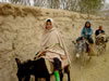 Three People on Donkeys